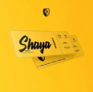 Mshayi - Shaya Ft. T-Man, Mr Thela, Chustar, Taboo no Sliiso